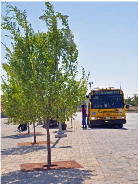 NW Plano Park & Ride